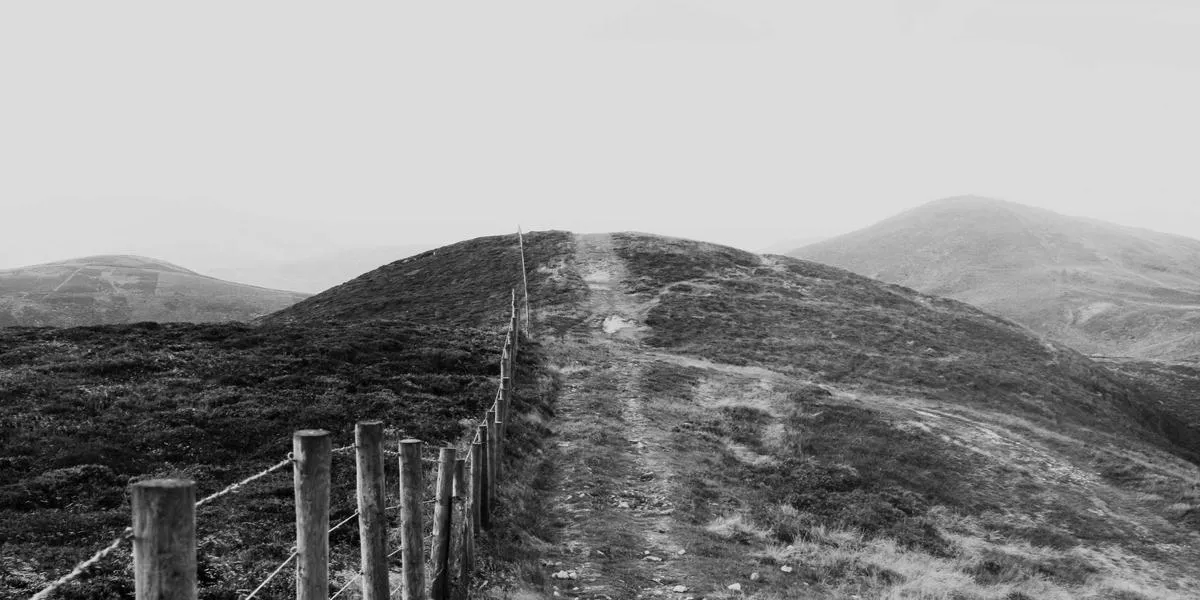 History image 13